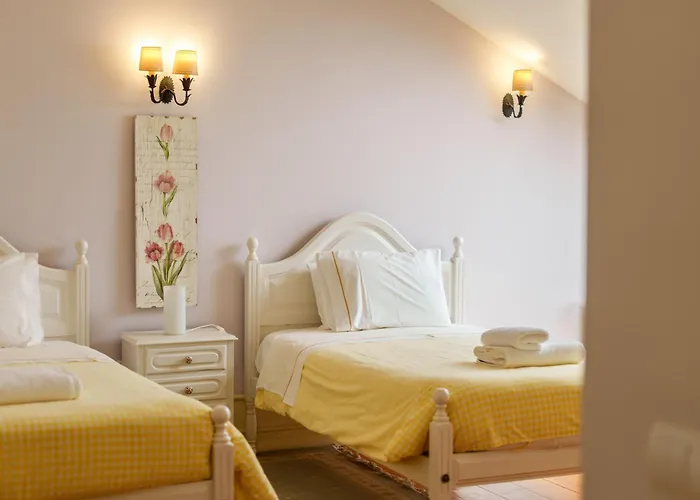 Feel Discovery Casa Da Capela Douro Valley 아마마